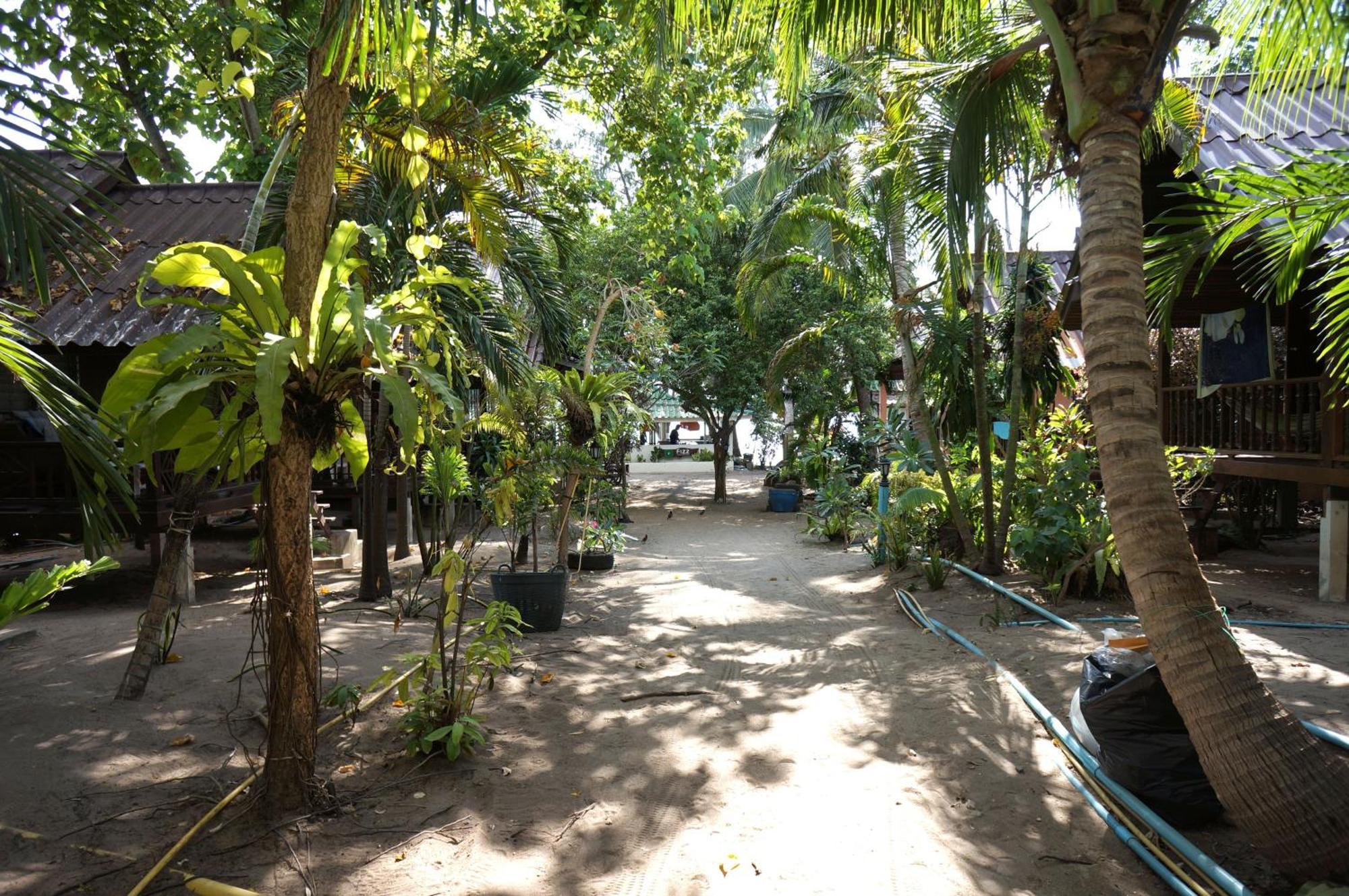 Silver Sands Resort - タオ島 エクステリア 写真