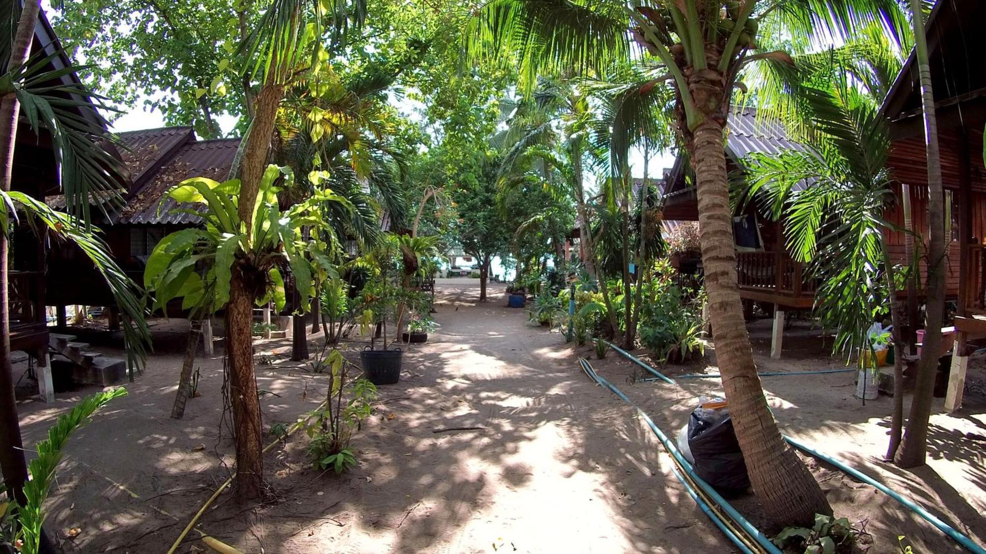 Silver Sands Resort - タオ島 エクステリア 写真